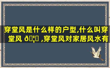 穿堂风是什么样的户型,什么叫穿堂风 🦟 ,穿堂风对家居风水有什么影响